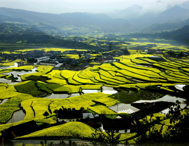 蒼穹休閑農(nóng)業(yè)綜合服務(wù)平臺(tái)