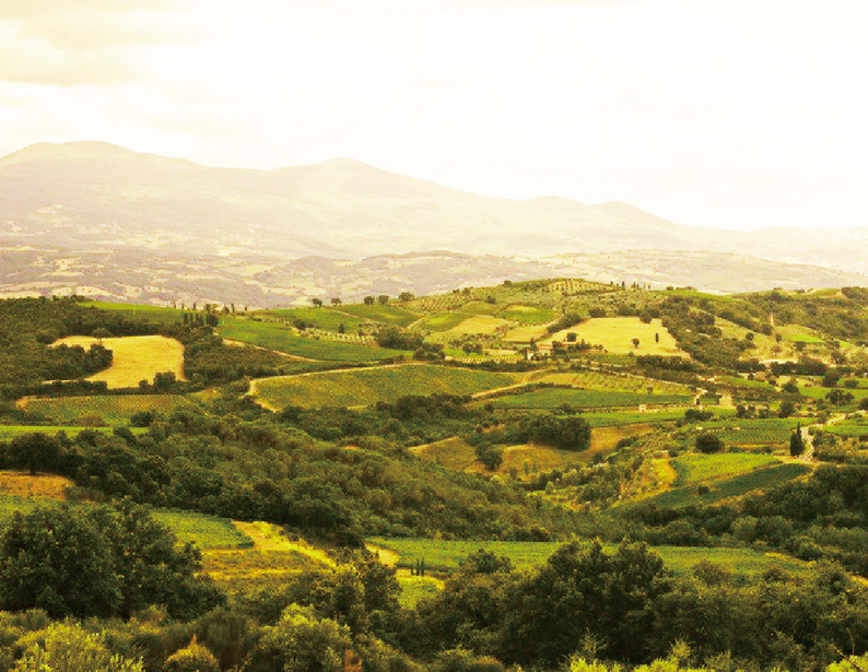 KQ Dynamic Supervision System of Land Registration