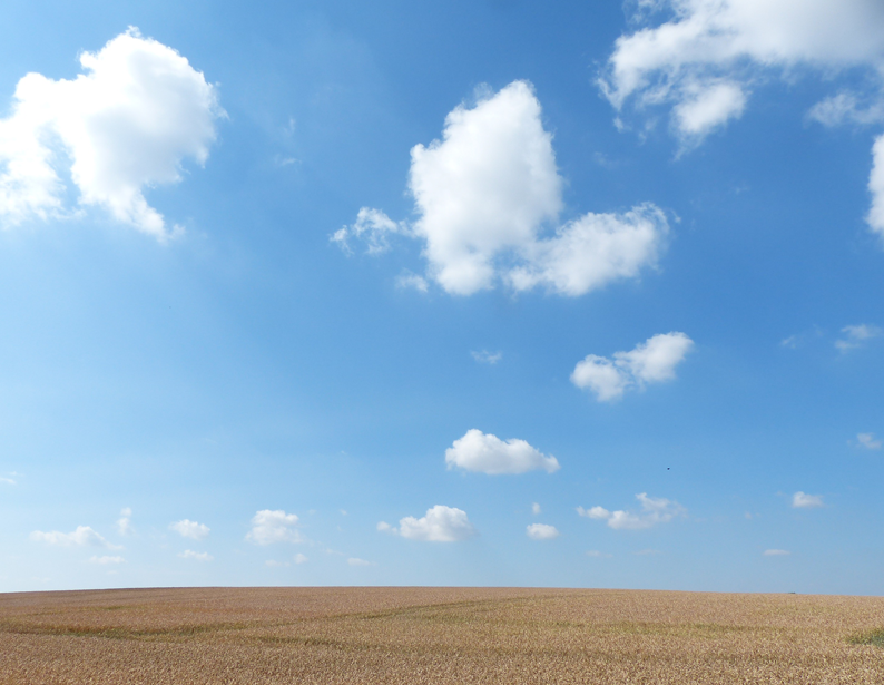 蒼穹智慧農(nóng)業(yè)物聯(lián)網(wǎng)綜合管理平臺(tái)