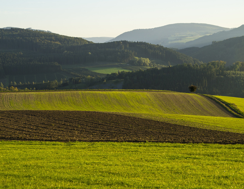 蒼穹農(nóng)用地分等定級(jí)管理信息系統(tǒng)